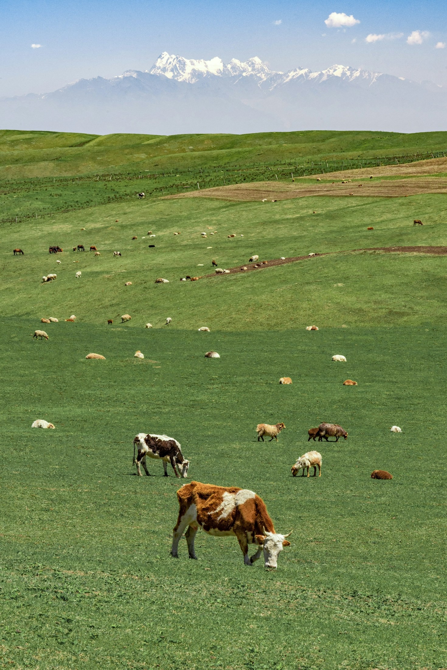 Viking Treasures Unearthed at Snartemo